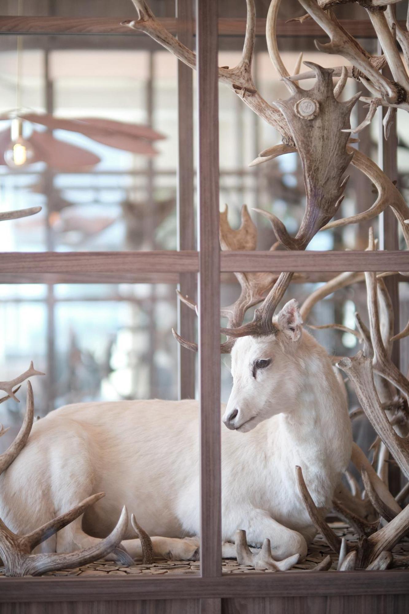 Boutique Hotel Blendin Bloemendaal Aan Zee Luaran gambar